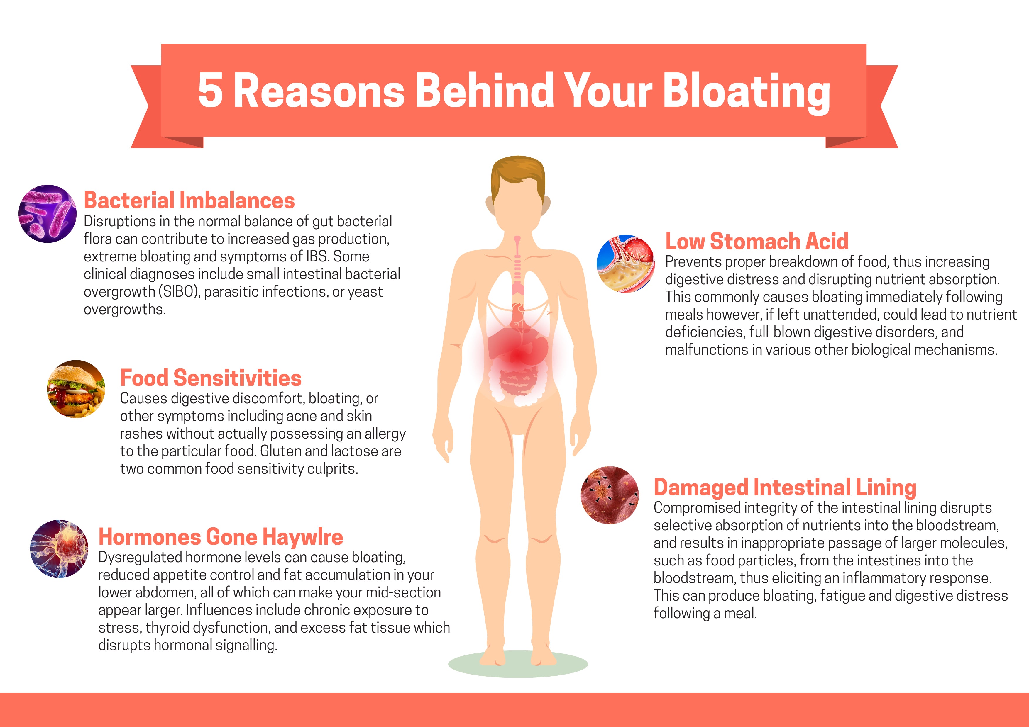 Why You're So Bloated After 40: The Complete Guide to Causes and Solutions